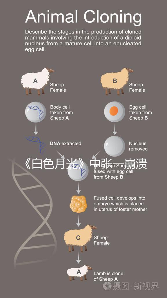 《白色月光》中張一崩潰在孩子面前哭，你認(rèn)為該不該？