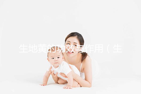 生地黃的功效與作用(生地黃是傷腎還是補(bǔ)腎)