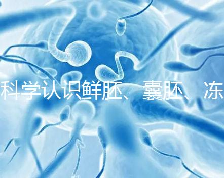 科學認識鮮胚、囊胚、凍胚的區別，同條件成功率對比