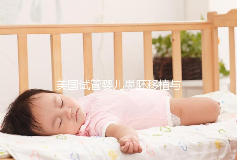 美國(guó)試管嬰兒囊胚移植與早期胚胎,有哪些不同?