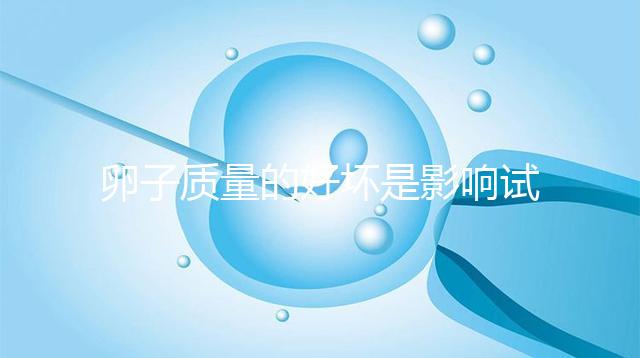 卵子質(zhì)量的好壞是影響試管嬰兒懷孕的幕后黑手