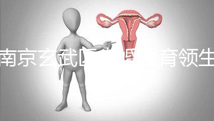 南京玄武區(qū)未婚生育領(lǐng)生育金看條件，社會撫養(yǎng)費交不了多少