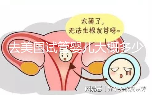 去美國試管嬰兒大概多少錢，省錢技巧有哪些必看