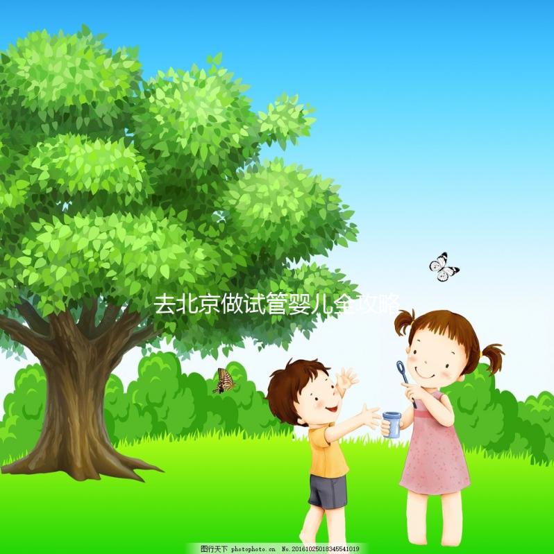 去北京做試管嬰兒全攻略：費用明細、醫院選擇及成功率分析