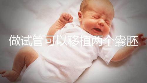 做試管可以移植兩個囊胚嗎？