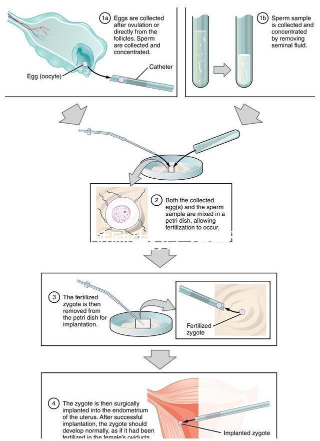 發(fā)錢鼓勵生孩要多關(guān)注第一孩！別被二胎、三胎沖昏頭腦