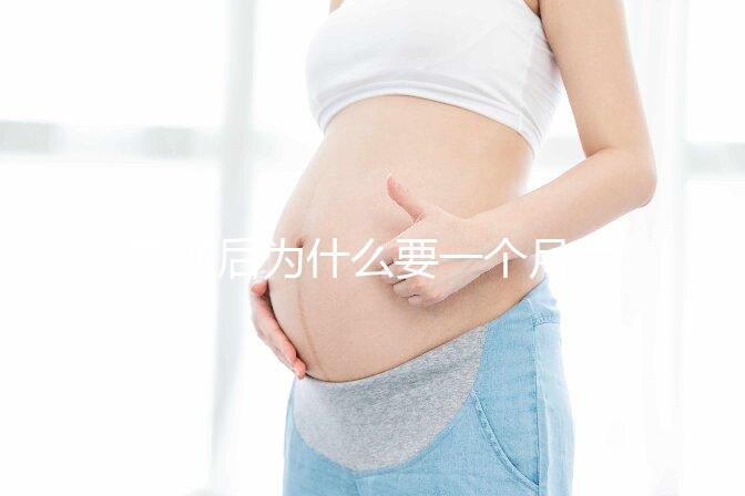 取卵后為什么要一個(gè)月后移植?深度解析與科學(xué)依據(jù)