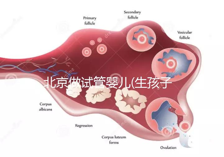 北京做試管嬰兒(生孩子)的費(fèi)用具體是多少?