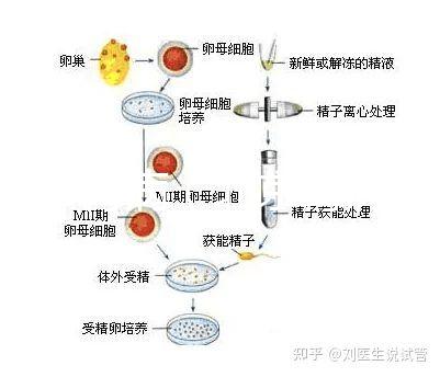 北京 腎?。ū本┠I病醫院排名第一）