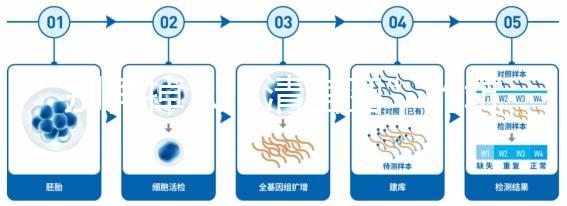 別再掉入“清宮圖”的坑中！備孕不應錯過女性最佳生育年齡