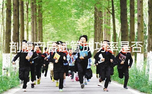 剖腹產后試管成功率是否很低?適當的調理影響真的很小