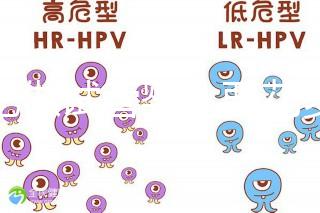 合肥做試管嬰兒要花多少錢?進(jìn)周期前這些注意事項都來看看