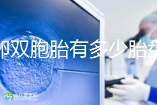 同卵雙胞胎有多少胎盤(pán)?1個(gè)or2個(gè)當(dāng)場(chǎng)講給你聽(tīng)