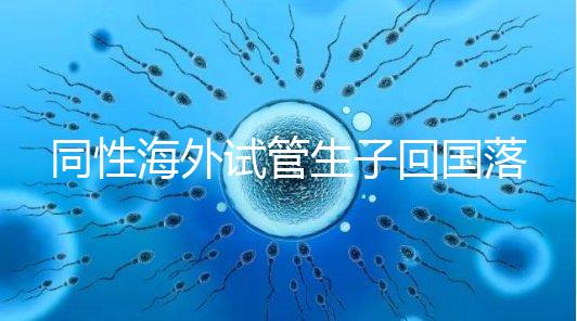 同性海外試管生子回國落戶講方法,男同上戶過程更復雜