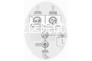 國內公立醫院試管嬰兒費用概覽：一般要花多少錢？