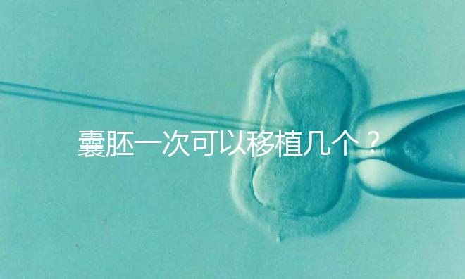 囊胚一次可以移植幾個？