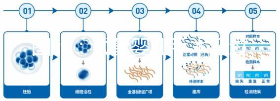 圖解:試管嬰兒手術全過程