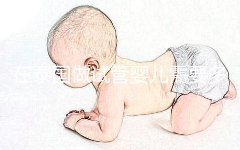 在泰國做試管嬰兒需要多長時間？這些步驟缺一不可？