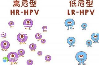 體育場每天開放嗎(體育場每天開放嗎現(xiàn)在)
