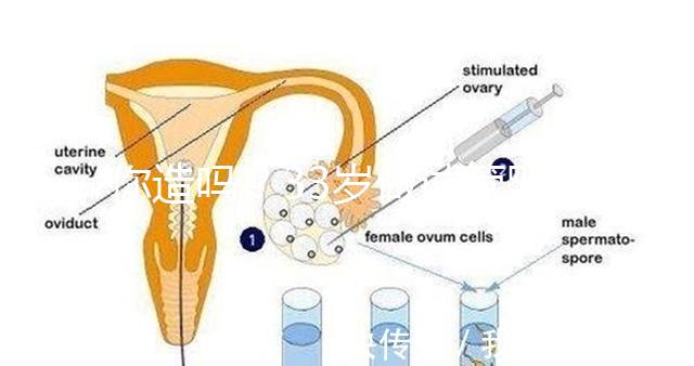 你造嗎?33歲做試管嬰兒成功率高不高要看這些報(bào)告