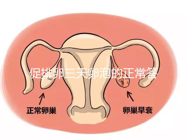 促排卵三天卵泡的正常答案是什么？取出8毫米卵原細(xì)胞的時間