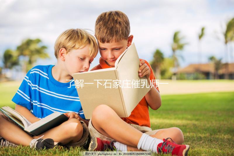 了解一下石家莊催乳師一次要多少錢(qián)，2024找到合適的公司是關(guān)鍵