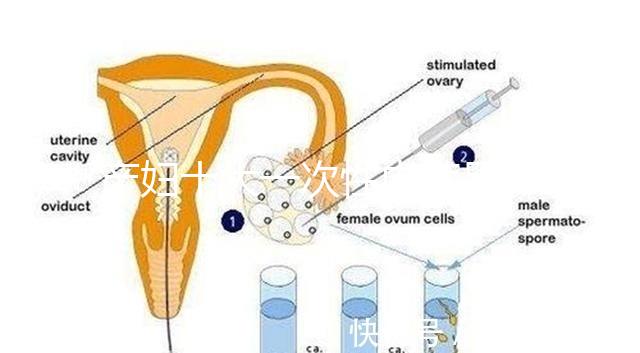 產(chǎn)婦十大一次性內(nèi)褲品牌排行揭曉,全棉時(shí)代質(zhì)量如何看這