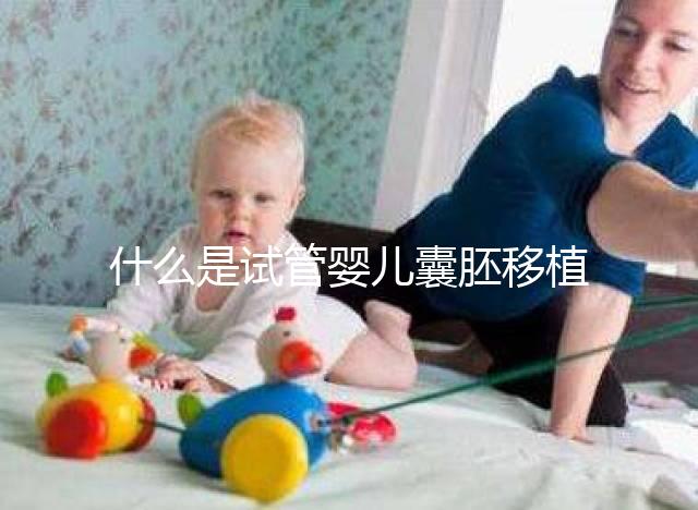 什么是試管嬰兒囊胚移植？