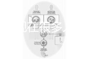 為什么現在很多人選擇用第三代試管嬰兒技術做試管嬰兒?