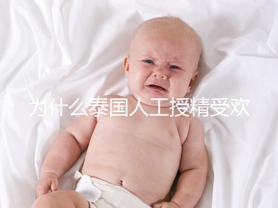 為什么泰國(guó)人工授精受歡迎?高成功率僅為3大優(yōu)勢(shì)之一