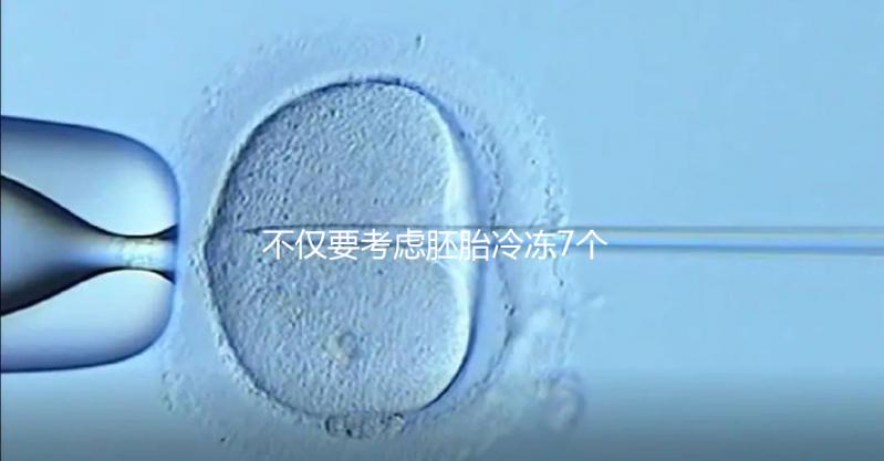 不僅要考慮胚胎冷凍7個月是否可以移植，還要了解受孕率的影響