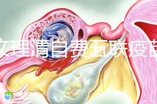 一文理清自費(fèi)五聯(lián)疫苗接種必要性，新生兒打有這些好處