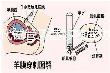 三代試管囊胚移植成功率解析及關鍵因素