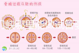 三門峽哪里能做試管嬰兒？從經歷談成功率和費用