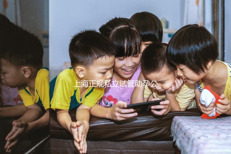 上海正規私立試管助孕公司名單分享，這幾家看放心選擇