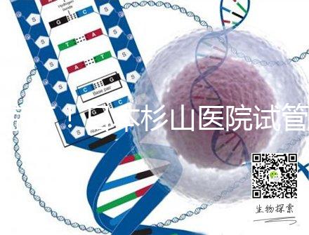 驚訝！日本杉山醫(yī)院試管嬰兒成功率和泰國持平