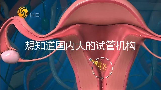 想知道國內大的試管機構，可以查到的那種？