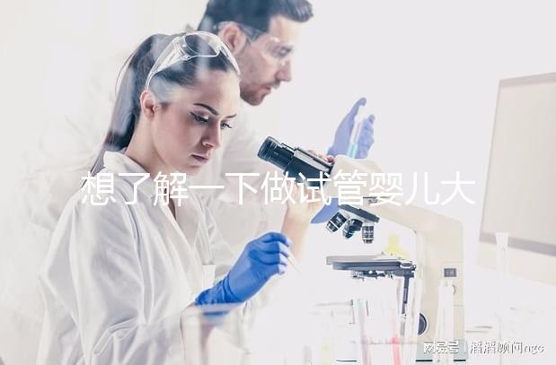 想了解一下做試管嬰兒大概需要多少錢。