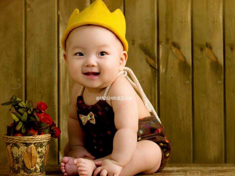 總結2024年武漢小學生入學政策，包括江岸區的詳細流程和條件