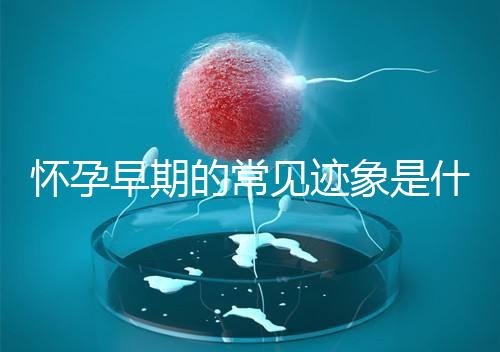 懷孕早期的常見跡象是什么？