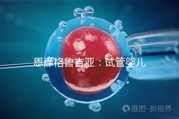 恩澤格魯吉亞：試管嬰兒助孕囊胚移植后，著床時間全解析