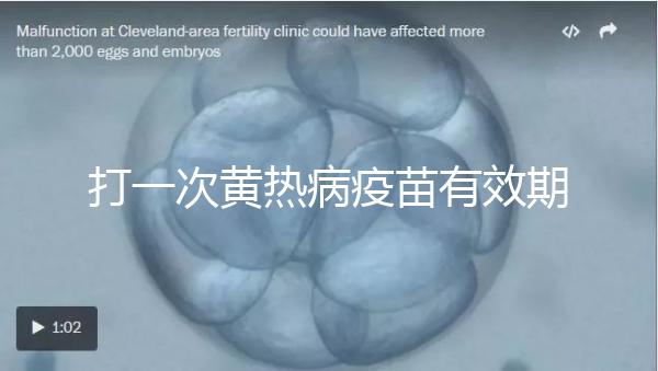 打一次黃熱病疫苗有效期限10年，提前注射時間是關鍵