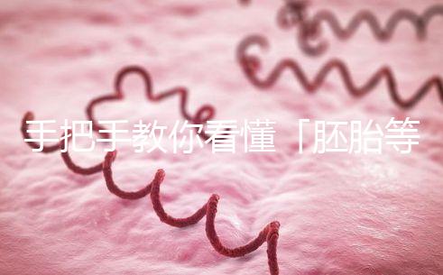 手把手教你看懂「胚胎等級報告」，不做試管嬰兒懵星人