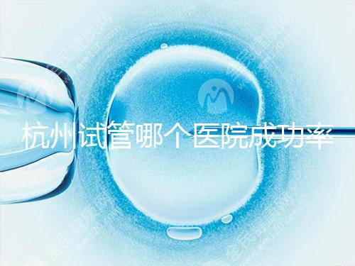 杭州試管哪個醫(yī)院成功率高?3代試管好醫(yī)院有2家,費(fèi)用明細(xì)一覽!