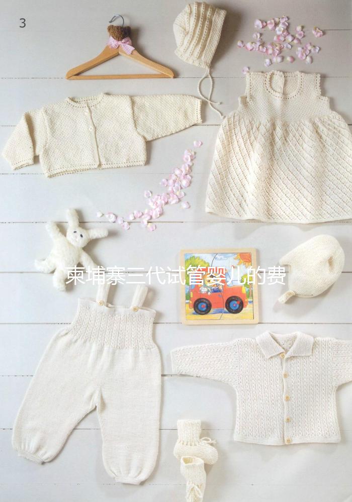 柬埔寨三代試管嬰兒的費(fèi)用、成功率、流程一文說(shuō)明!