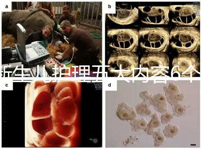 新生兒護(hù)理五大內(nèi)容6個要點(diǎn)整理,嬰兒養(yǎng)育照護(hù)干貨來了