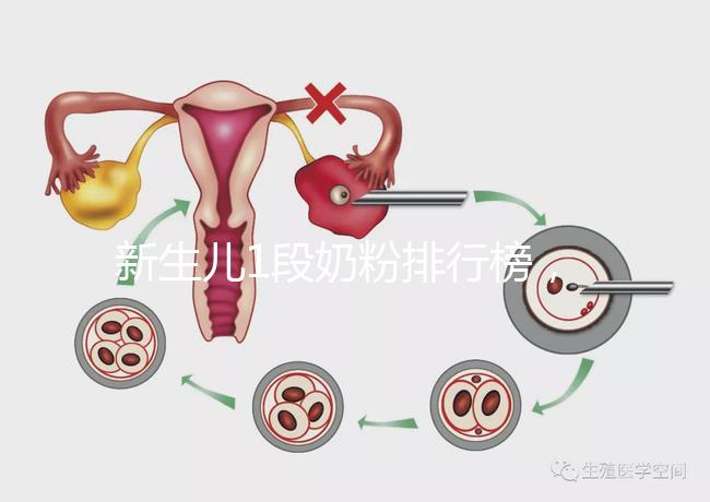 新生兒1段奶粉排行榜，口碑好、價(jià)格實(shí)惠的品牌紛紛上榜