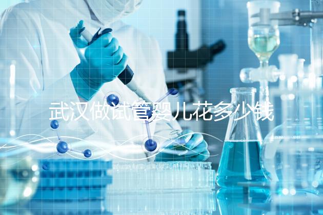 武漢做試管嬰兒花多少錢？