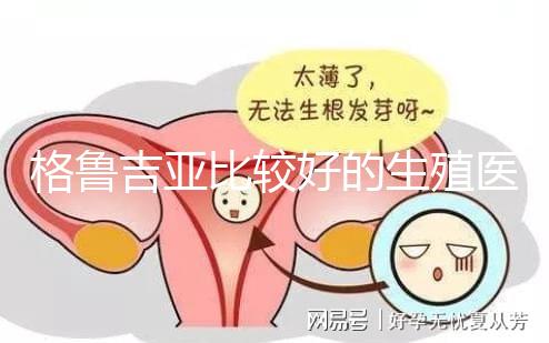 格魯吉亞比較好的生殖醫(yī)院是哪家，助孕成功率高還看這4家