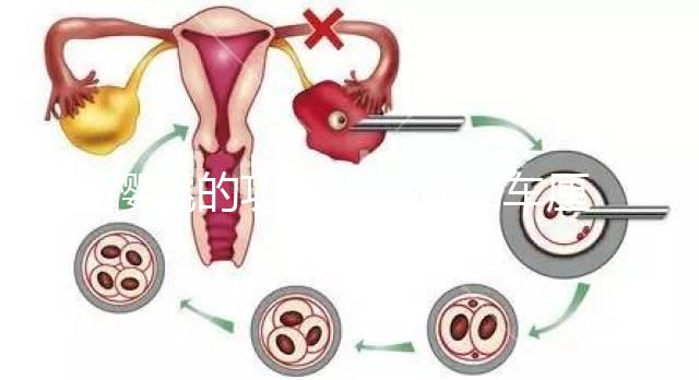 櫻桃的功效(櫻桃和車?yán)遄佑惺裁磪^(qū)別)